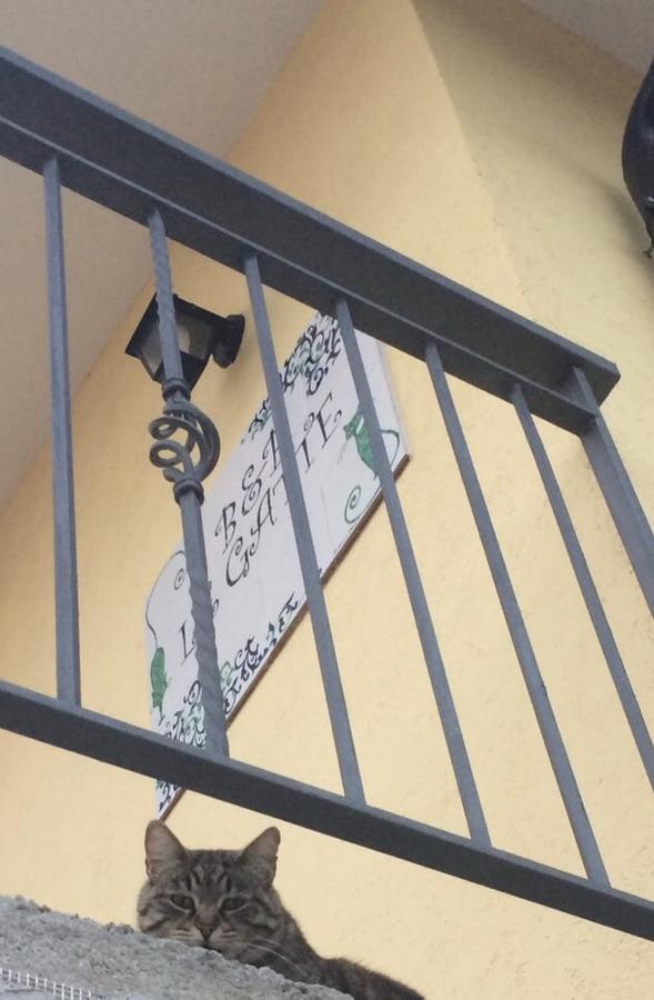 Le Gatte Bed & Breakfast Eboli Exterior foto